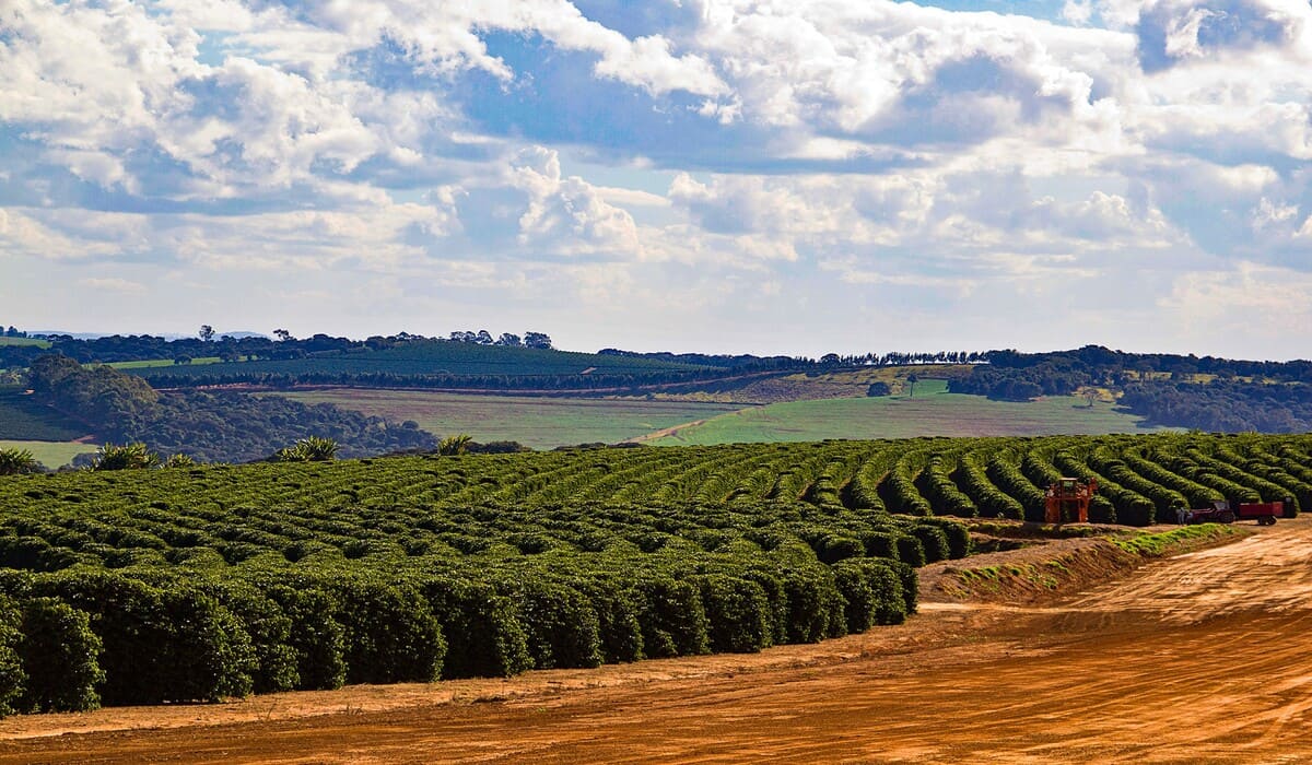 3 mil fazendas fechadas por regras do clima