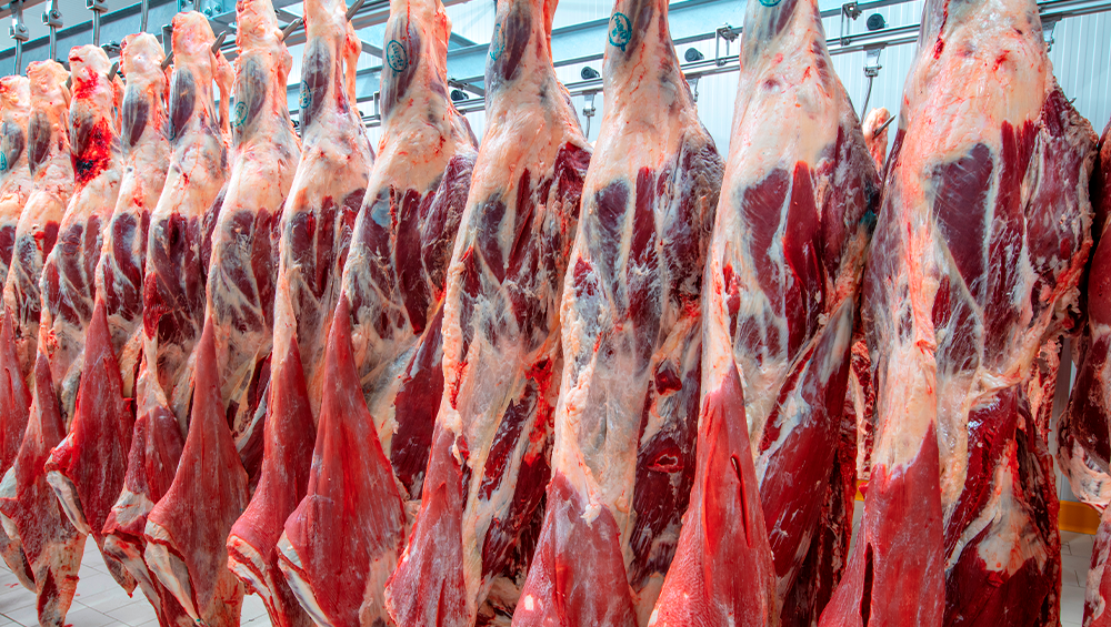 Exportações de carne de frango do Brasil crescem em novembro