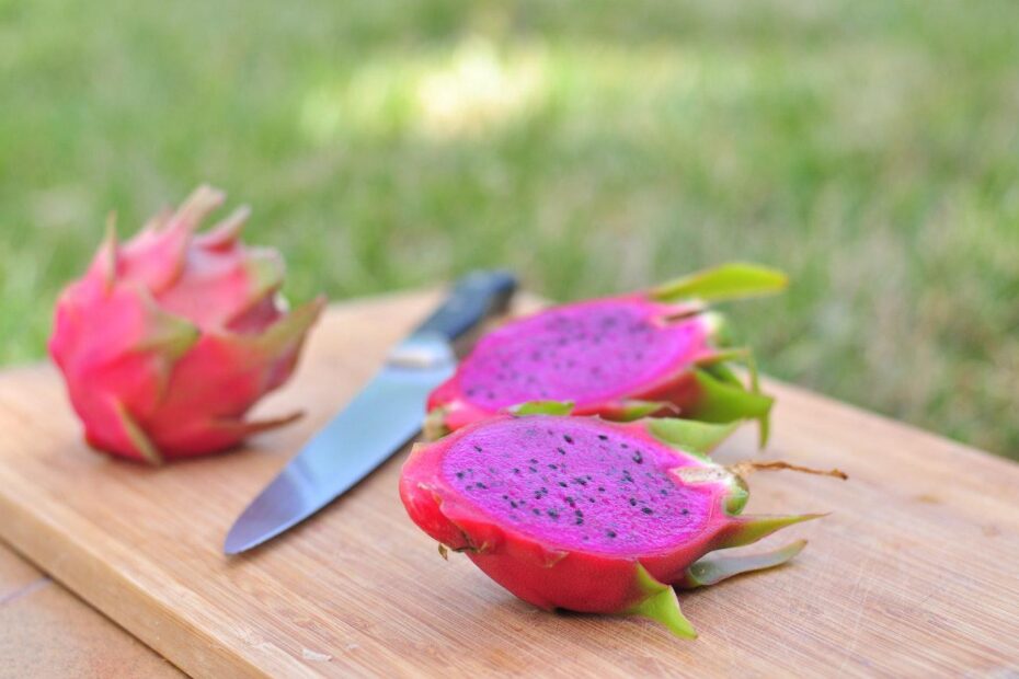Como cultivar pitaya Canal Agro Estadao
