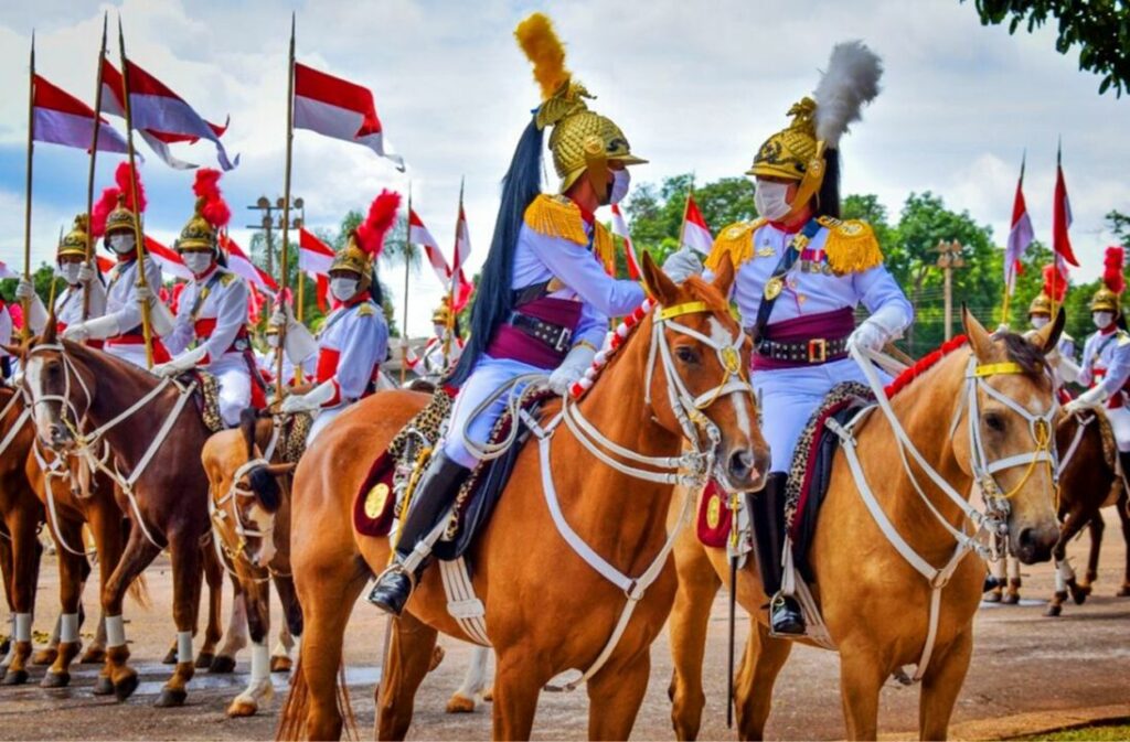 Conheca a tradicao do cavalo Baio heranca do Exercito desde