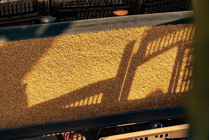 Embarque de milho do Brasil a China deve somar 368