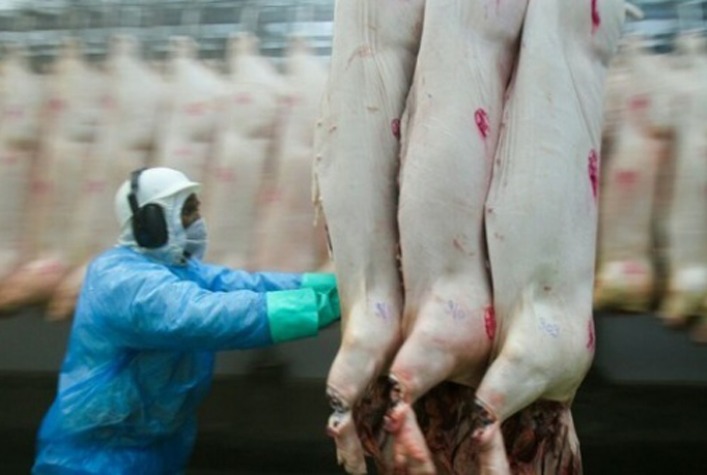 Exportacoes de carne suina dos EUA continuam com tendencia de