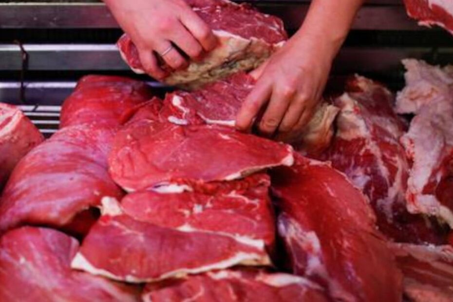 Os 10 maiores produtores de carne bovina do mundo