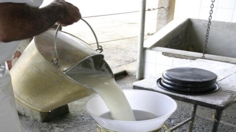 Preco do leite ao produtor deve seguir caindo ate o