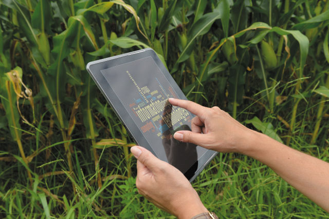 A digitalização no Agronegócio: caminhos para o crescimento sustentável do setor