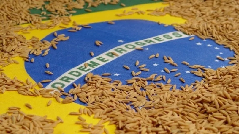 Abiarroz: Exportações de arroz ultrapassam 1,8 milhão de t no acumulado do ano 11 abiarroz exportacoes de arroz crescem mais de 20 no 1o semestre 2