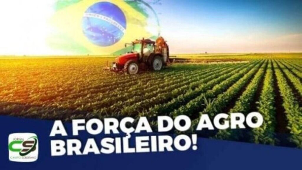 agro brasileiro 10 segredos que voce nao sabe