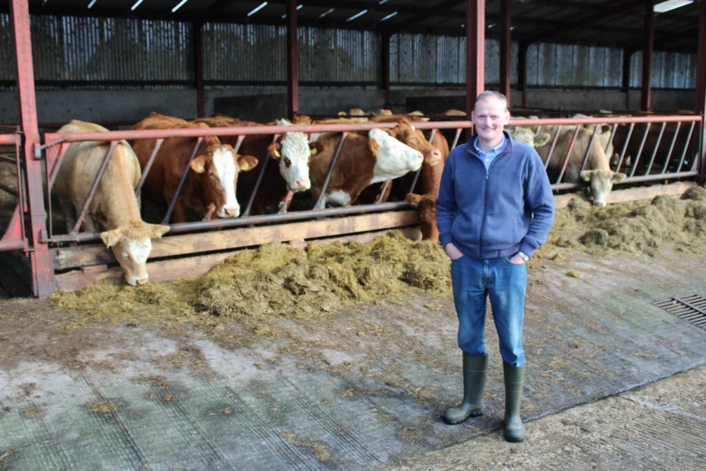 Aleitamentos terminando na fazenda Fermanagh do presidente da UFU 2 aleitamentos terminando na fazenda fermanagh do presidente da ufu 1