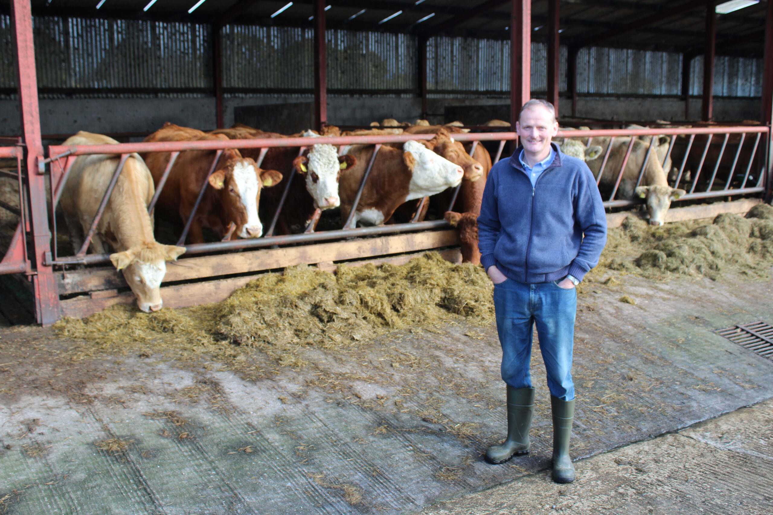 Aleitamentos terminando na fazenda Fermanagh do presidente da UFU