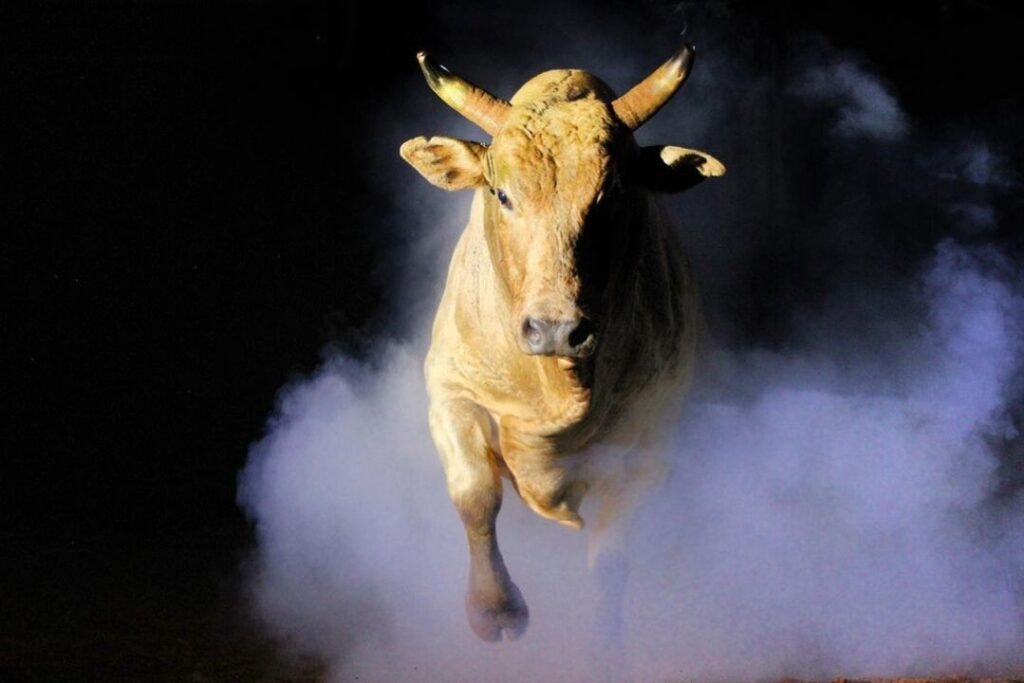 André Silva ministra curso inédito de fotografia de Rodeio em Frutal SP