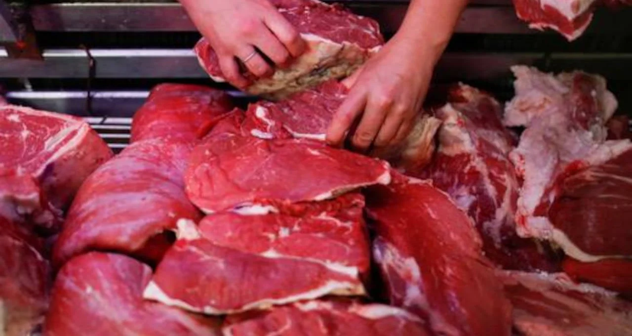 Santa Catarina amplia exportações de carnes e faturamento passa de US$ 3,1 bilhões 4 Os 10 maiores produtores de carne bovina do mundo