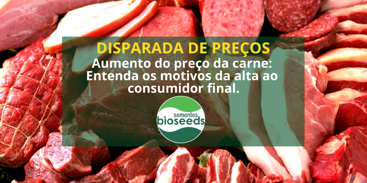 aumento do preco da carne entenda os motivos da alta ao consumidor final