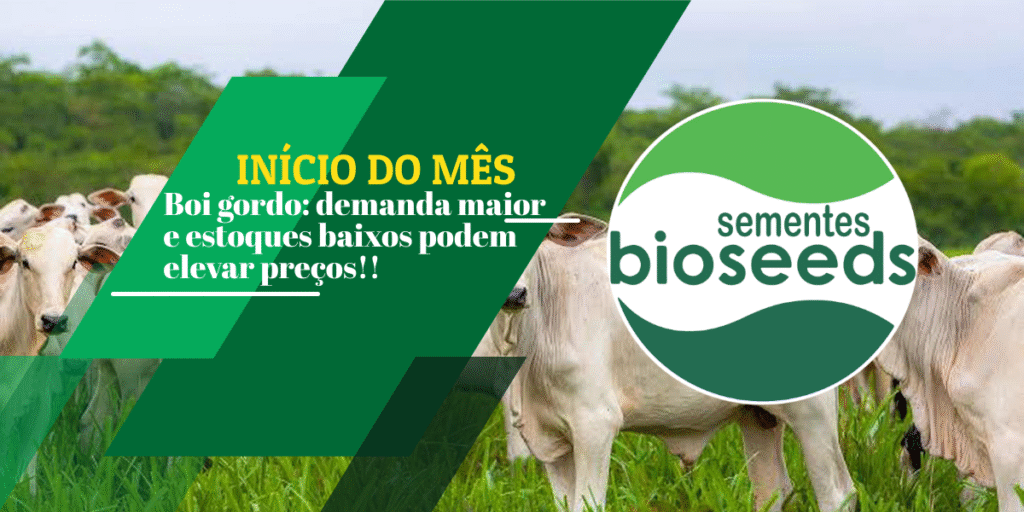 boi gordo demanda maior e estoques baixos podem elevar precos 1