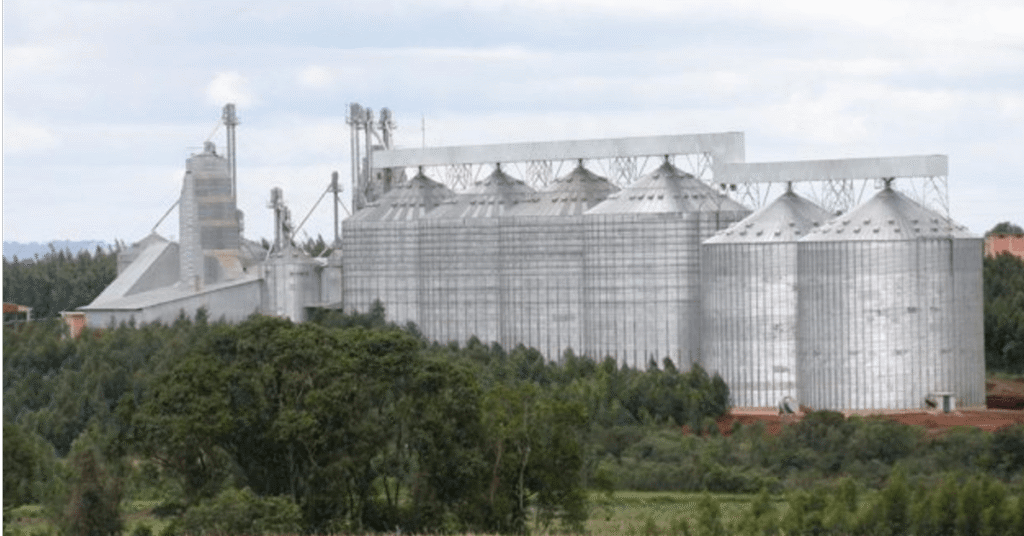 brasil ampliou em 3 sua capacidade de armazenagem agricola portal dbo