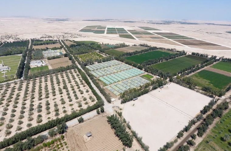 catar estreia em copas do mundo mas e campeao no agro