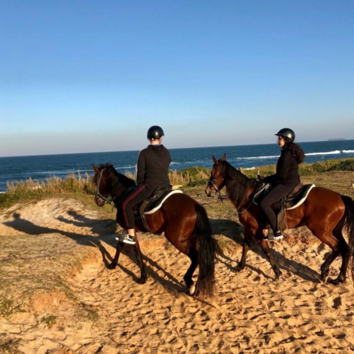 Cavalgada na praia é uma ótima opção de passeio em família
