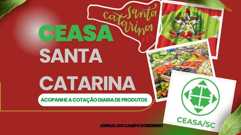 Ceasa Santa Catarina - Cotação Diaria Atualizada