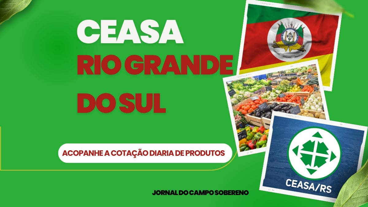 Ceasa Rio Grande do Sul