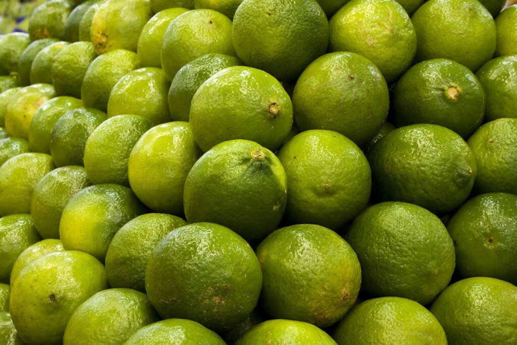 citros baixa oferta de tahiti mantem preco em alta 1