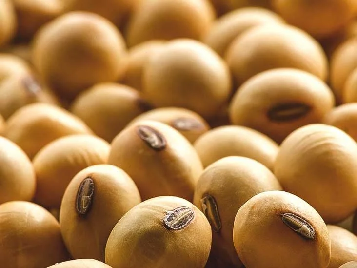 cj selecta lanca plataforma de monitoramento e reforca compromisso com zero