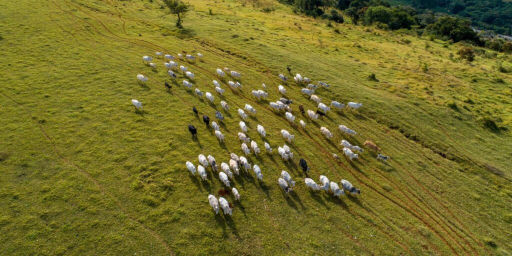 cobertura broadcast as crises pelas quais o agro brasileiro teve que passar