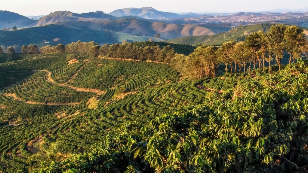 Cobertura do Broadcast sobre os dez anos do Código Florestal e os próximos passos a serem tomados 2 cobertura do broadcast sobre os dez anos do codigo florestal e os proximos passos a serem tomados