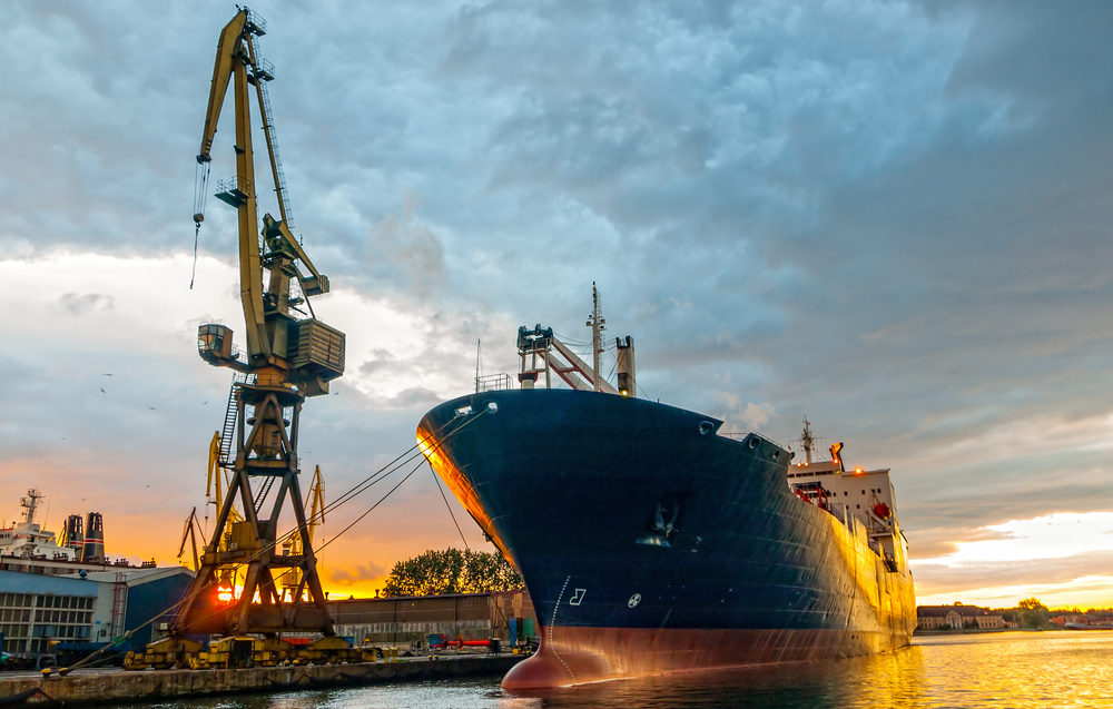 UK imports of sheepmeat fall 43% in August