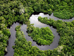 desmatamento na amazonia bate recorde para mes de outubro em reta final de