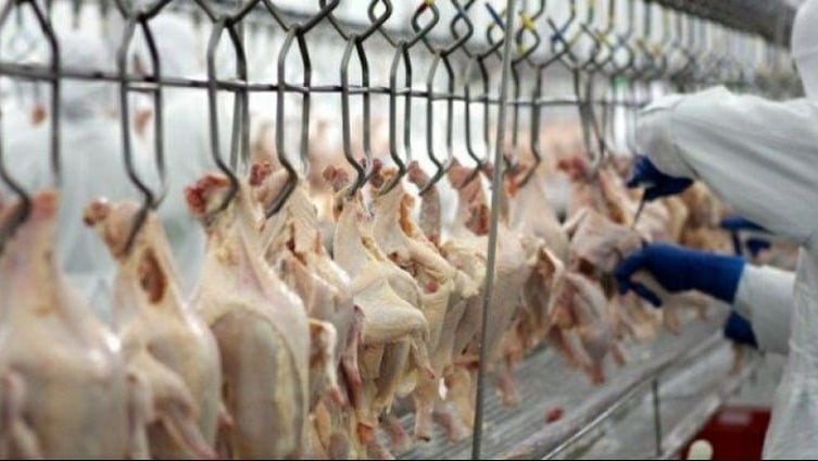 exportacao de carne de frango e recorde mesmo com desaceleracao da demanda