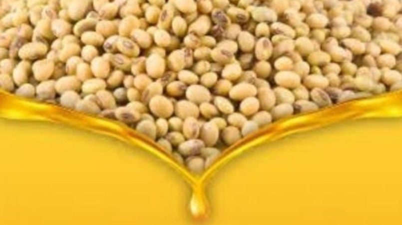 Exportação de óleo e farelo de soja cresce 28% no acumulado do ano, recorde para o período 5 exportacao de oleo e farelo de soja cresce 28 no acumulado do ano recorde para o periodo 3