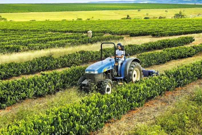 exportacoes do agronegocio mineiro mantem crescimento e registram novo recorde 1