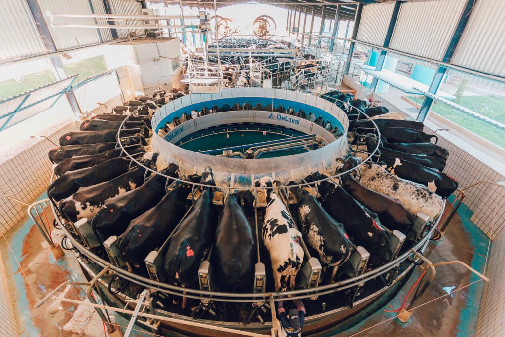 fazenda santa luzia nutricao e bem estar 1