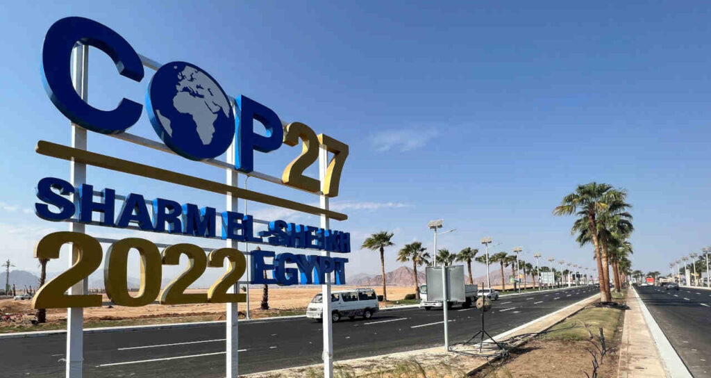 frigorificos da b3 desconhecem relatorio que seria do hsbc sobre desmatamento money times