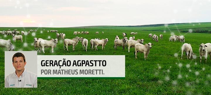 geracao agpastto cuidados para um bom manejo do pasto 1