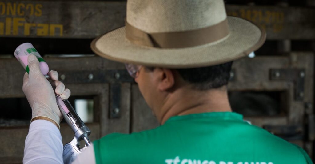 goias alcanca indice vacinal de 9859 contra a febre aftosa portal dbo 3