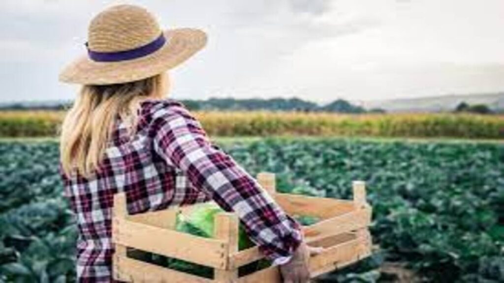 GOVERNO LIBERA ATÉ R$ 400.000,00 PARA MULHERES DO AGRO