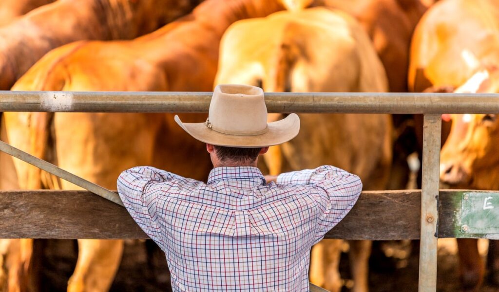 governos querem saquear o produtor rural com impostos 1