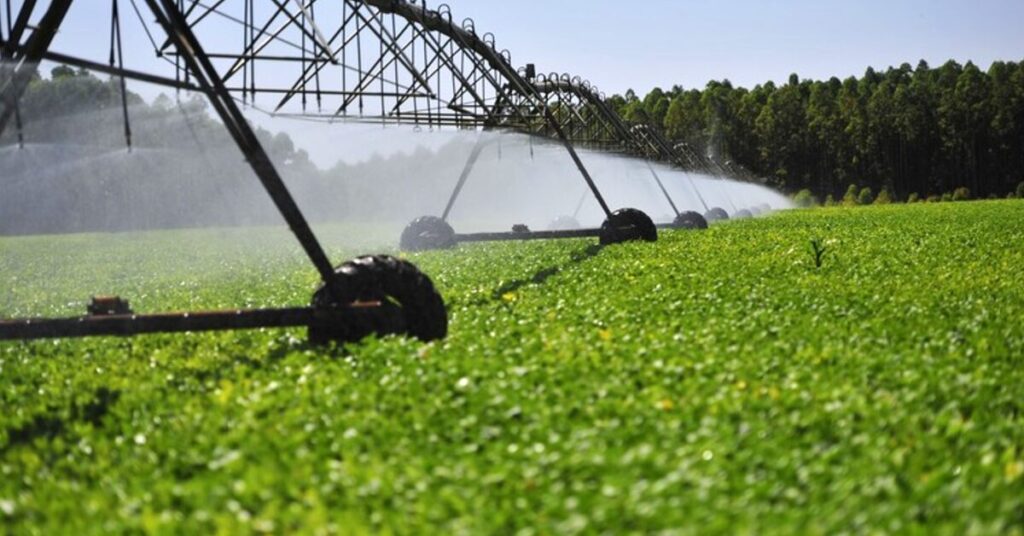 Lavouras irrigadas quase quadruplicam entre 1985 e 2021, revela MapBiomas • Portal DBO 2 lavouras irrigadas quase quadruplicam entre 1985 e 2021 revela mapbiomas portal dbo