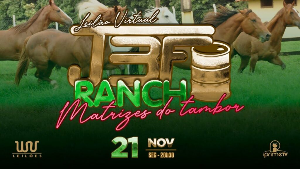 leilao virtual jbf ranch 1