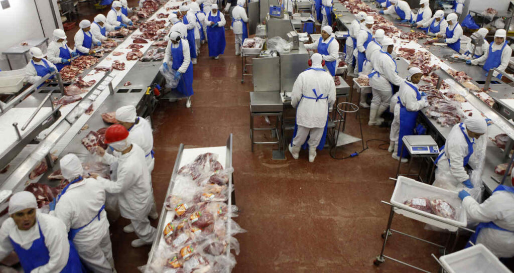 lucro da marfrig mrfg3 cai 743 no 3o tri com pressao em operacao da america do norte money times