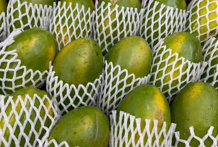 Mamão: volume exportado está 20% menor na parcial do ano 8 mamao volume exportado esta 20 menor na parcial do ano 1