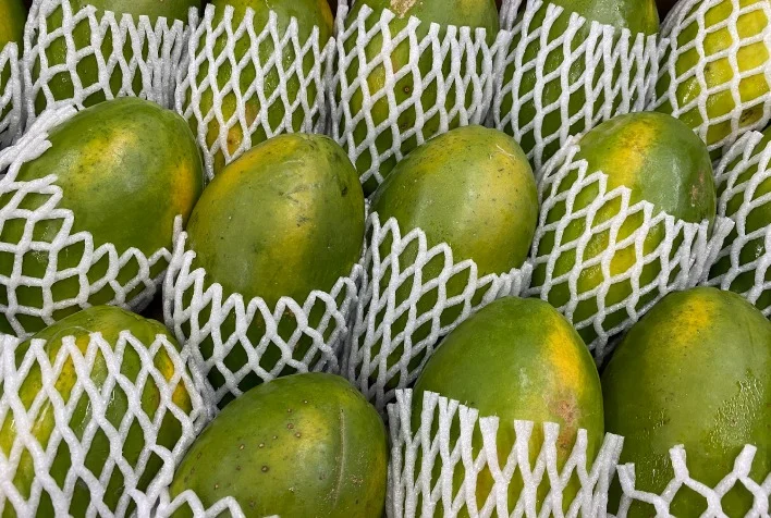 Mamão: volume exportado está 20% menor na parcial do ano 8 mamao volume exportado esta 20 menor na parcial do ano 1