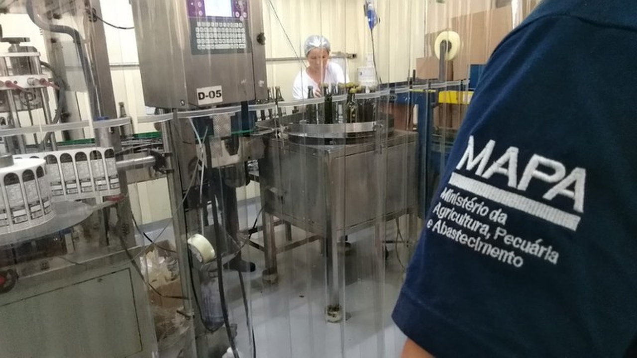 mapa flagra oleo composto sendo vendido como azeite de oliva 1