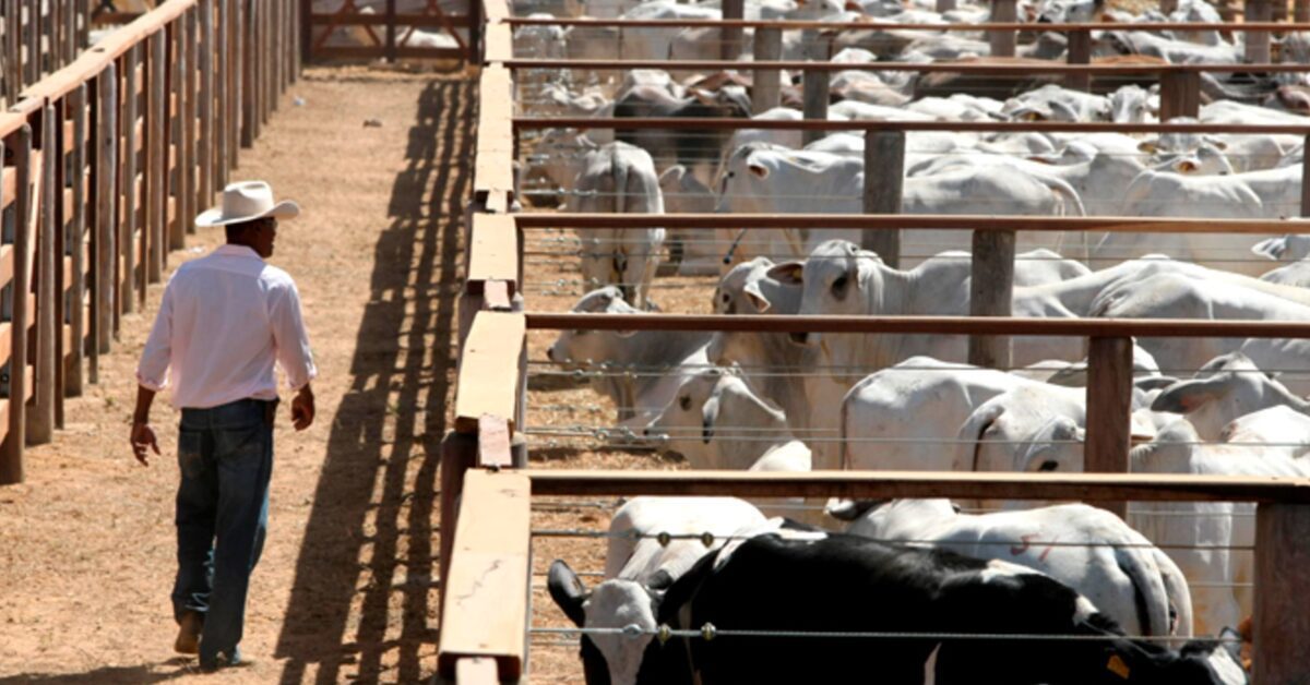 mercado de reposicao segue com ritmo baixo de negocios informa a scot consultoria portal dbo 3