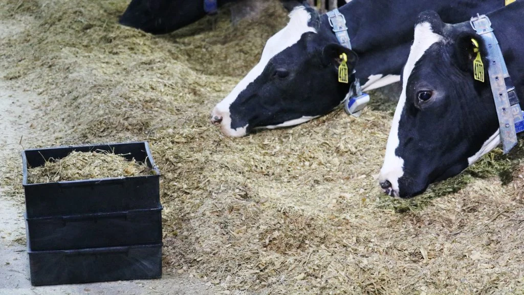 monitoramento da qualidade da dieta total 1