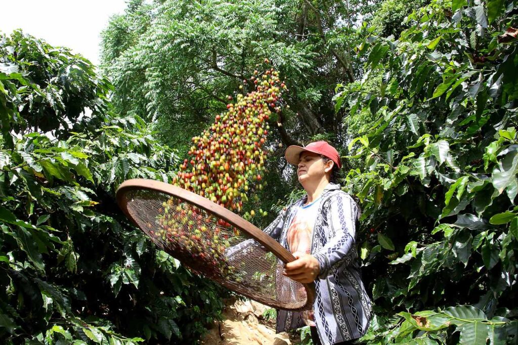 mulheres do agro premio paranaense tera categoria para aquelas que sao destaque no campo