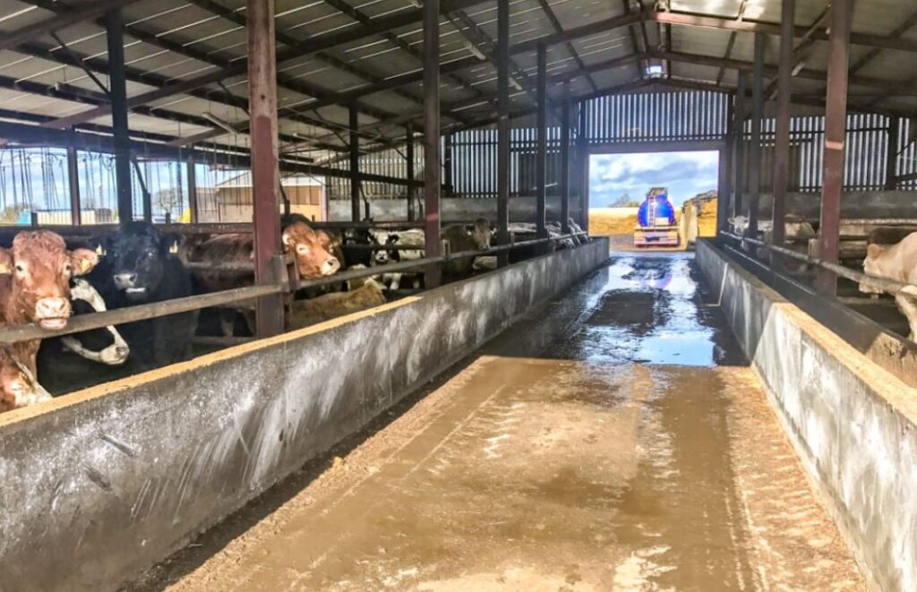 Number of 'feedlots' in Ireland and average CFU herd size 2 Number of ‘feedlots’ in Ireland and average CFU herd size