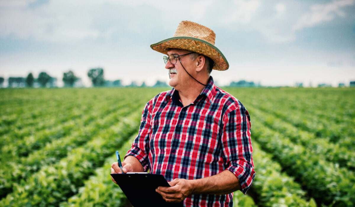 Número de trabalhadores atuando no agronegócio chega a 19,07 milhões 7 Trabalhador rural