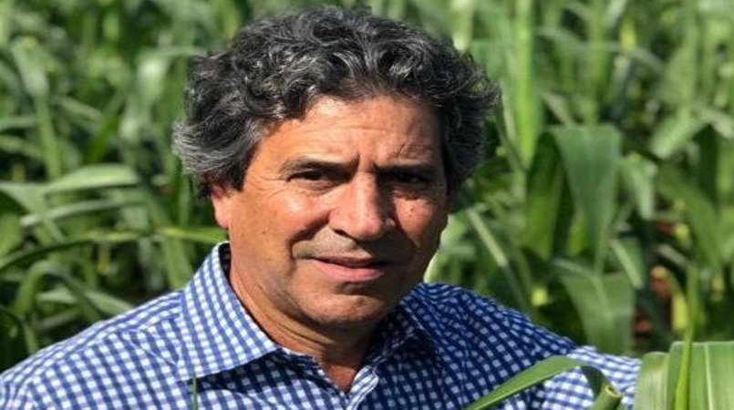 Opinião: O casamento da agronomia com a ecologia 8 opiniao o casamento da agronomia com a ecologia 1