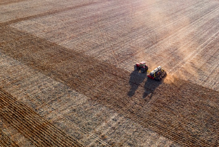 Plantio de soja 2022/23 atinge 74% da área no Brasil; seca no Centro-Oeste preocupa 6 plantio de soja 2022 23 atinge 74 da area no brasil seca no centro oeste preocupa